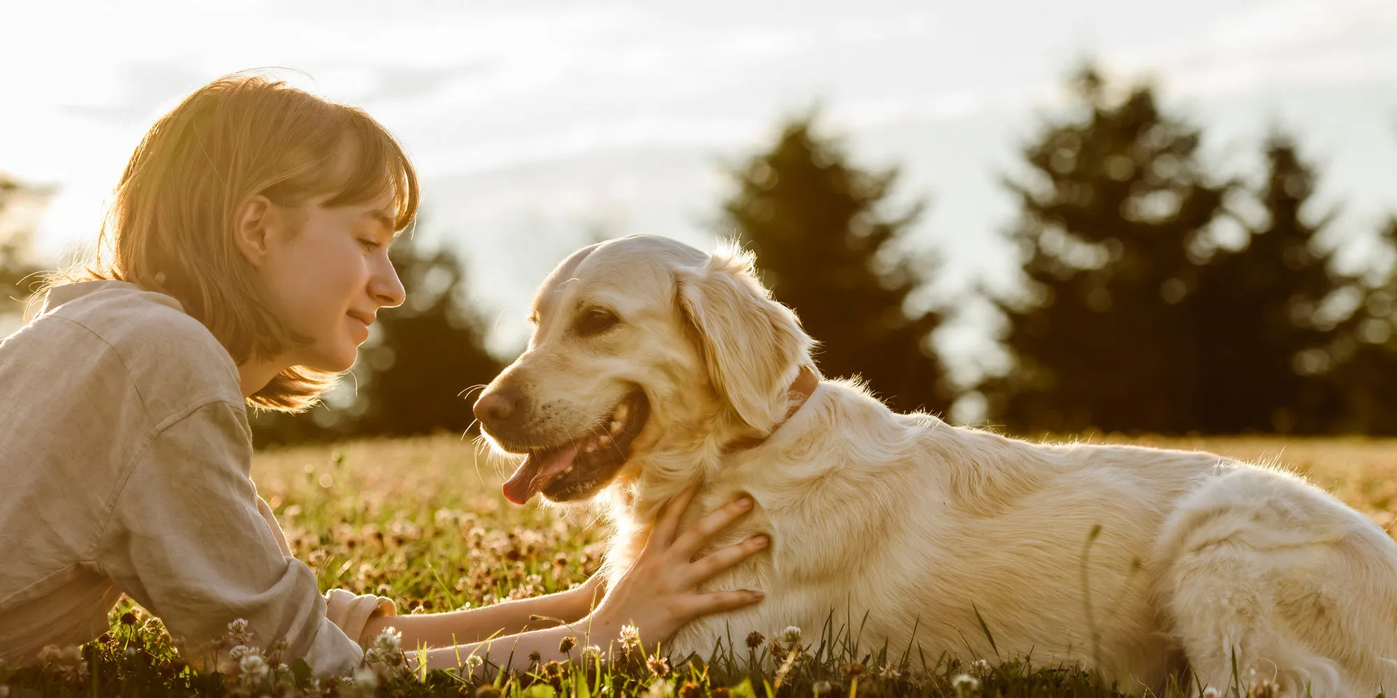 一品寵物禮儀-寵物禮儀社,寵物火化推薦,嘉義寵物禮儀社,嘉義寵物火化推薦,東區寵物禮儀社,東區寵物火化推薦