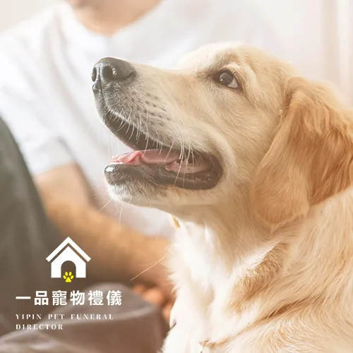 寵物告別式有哪些形式？嘉義寵物禮儀/嘉義寵物禮儀推薦/嘉義寵物禮儀師/嘉義寵物告別式/嘉義寵物臨終服務/嘉義寵物火化/嘉義寵物火化推薦/嘉義寵物接體/嘉義寵物冰存/嘉義寵物樹葬/嘉義寵物植葬