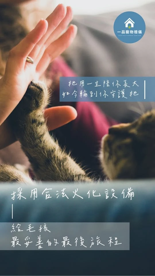 毛孩用一生陪你長大