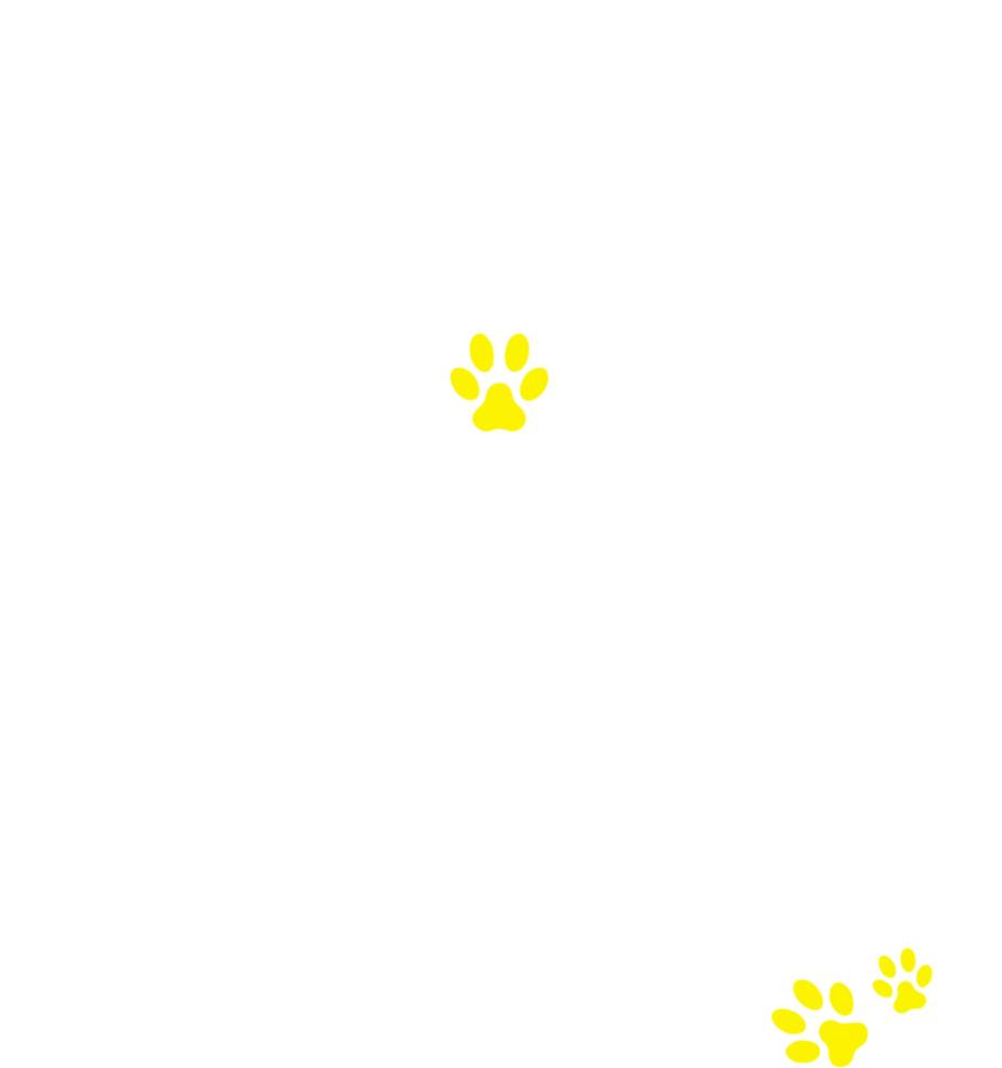 一品寵物禮儀-寵物禮儀社,寵物火化推薦,嘉義寵物禮儀社,嘉義寵物火化推薦,東區寵物禮儀社,東區寵物火化推薦