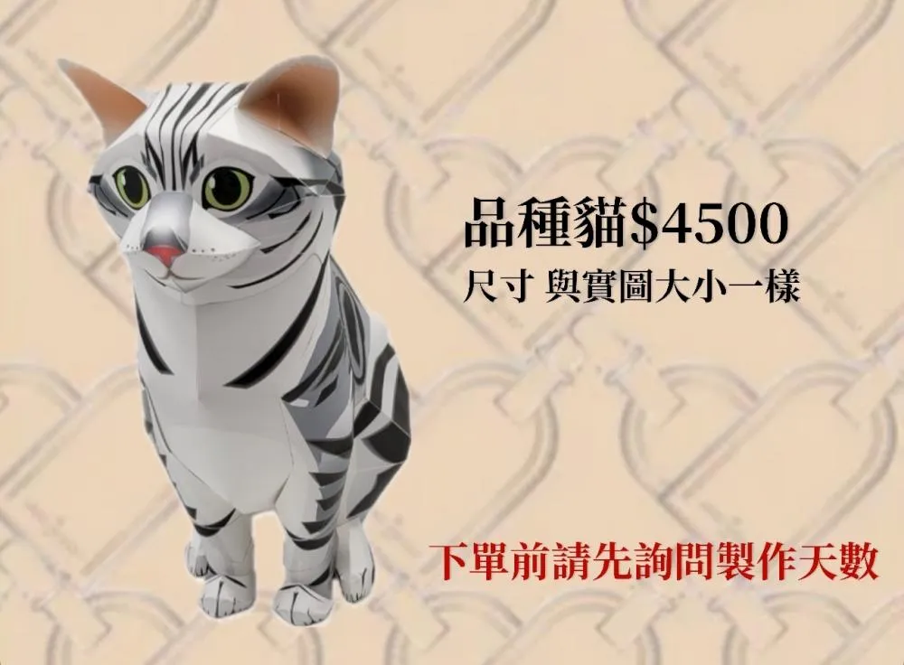 品種貓