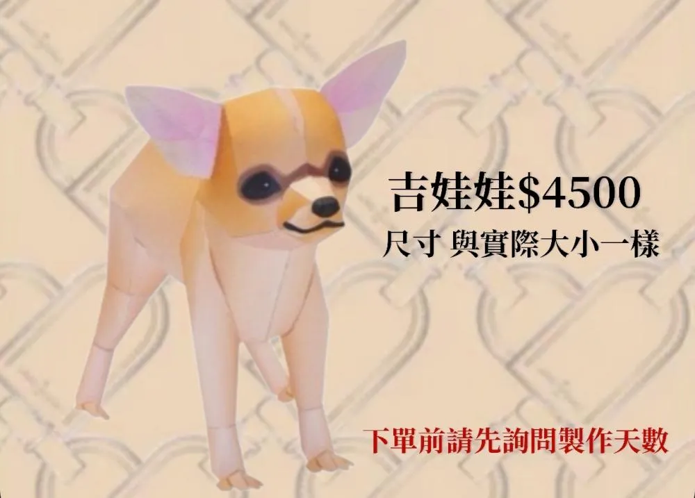 吉娃娃