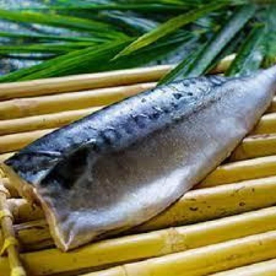 薄鹽鯖魚