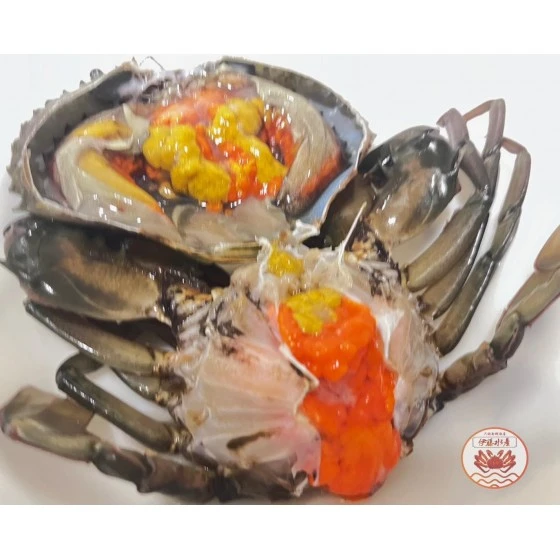活體紅蟳