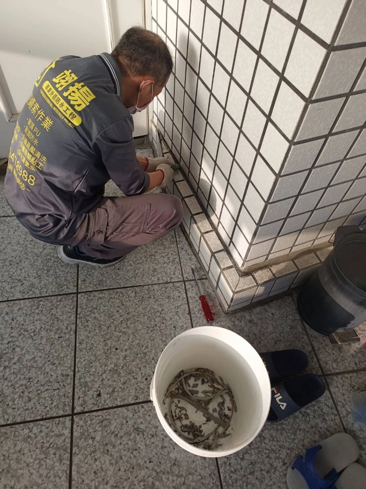 雲林縣斗六市公寓｜磁磚滲水｜矽利康割除｜填縫透明防水漆處理