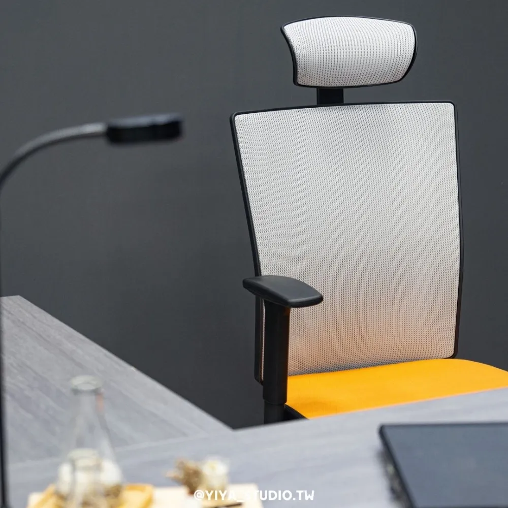 【人體工學椅】Timeless+_經年累月 典則俊雅