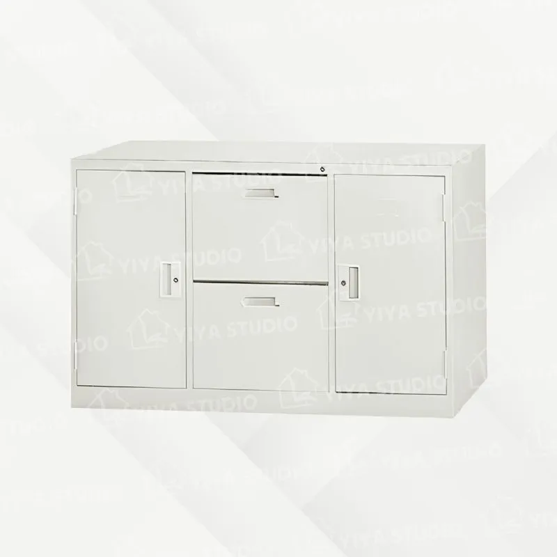 【隔間櫃】二屜-附活動隔板二片