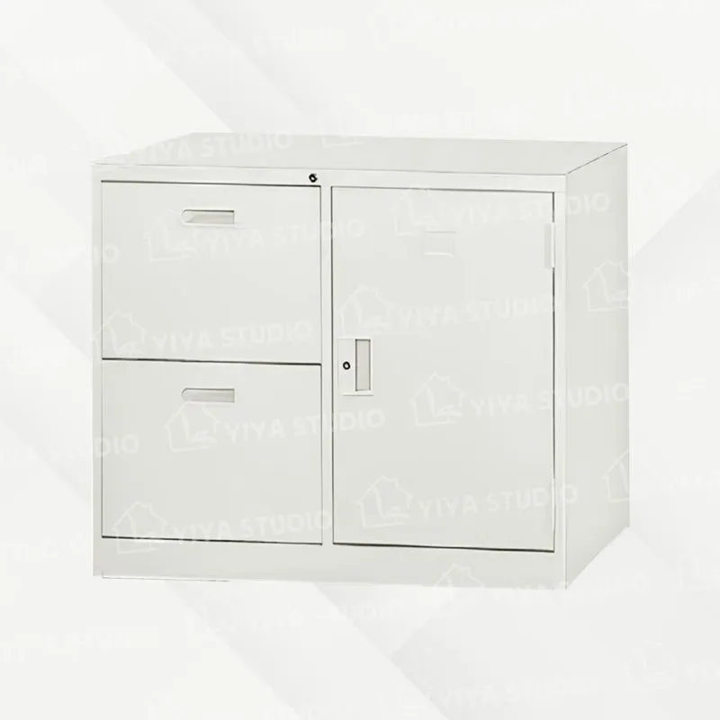 【隔間櫃】二屜-附活動隔板一片