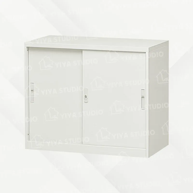 【理想櫃】鐵拉門兩層式-附活動隔板一片