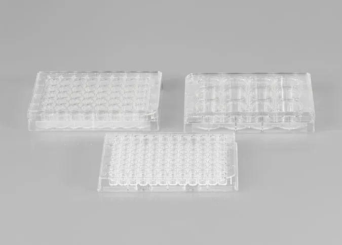 PakGent Cell Culture Plate