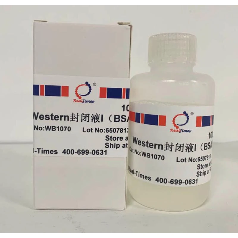 Western封闭液I（BSA）