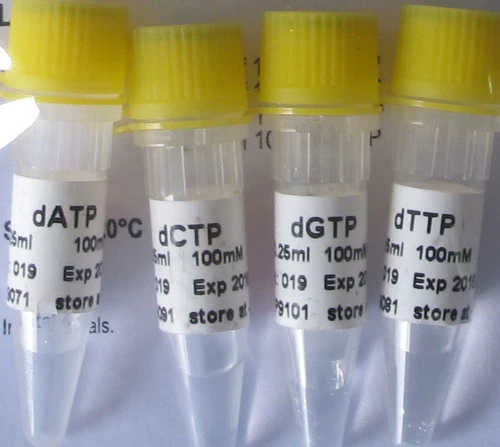 dCTP, 100mM Solution