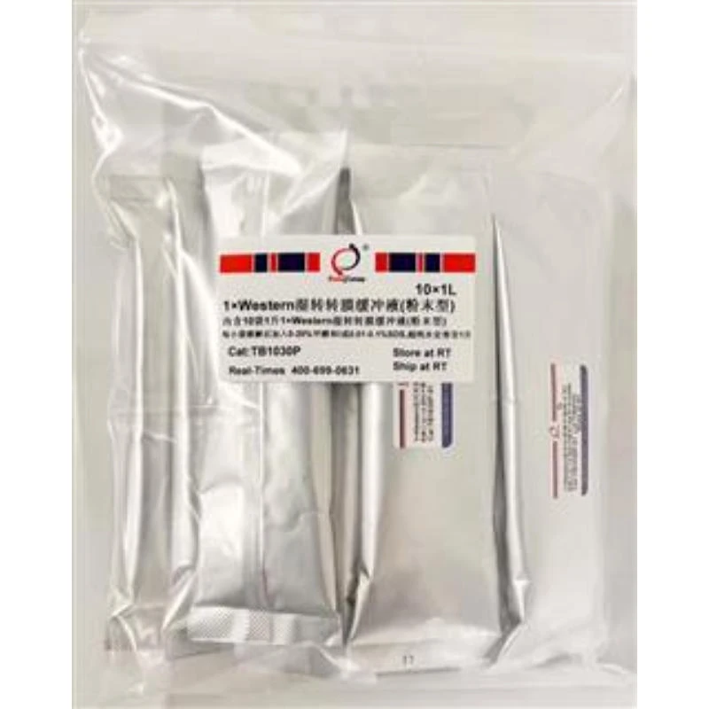 1×Western湿转转膜缓冲液（粉末型）