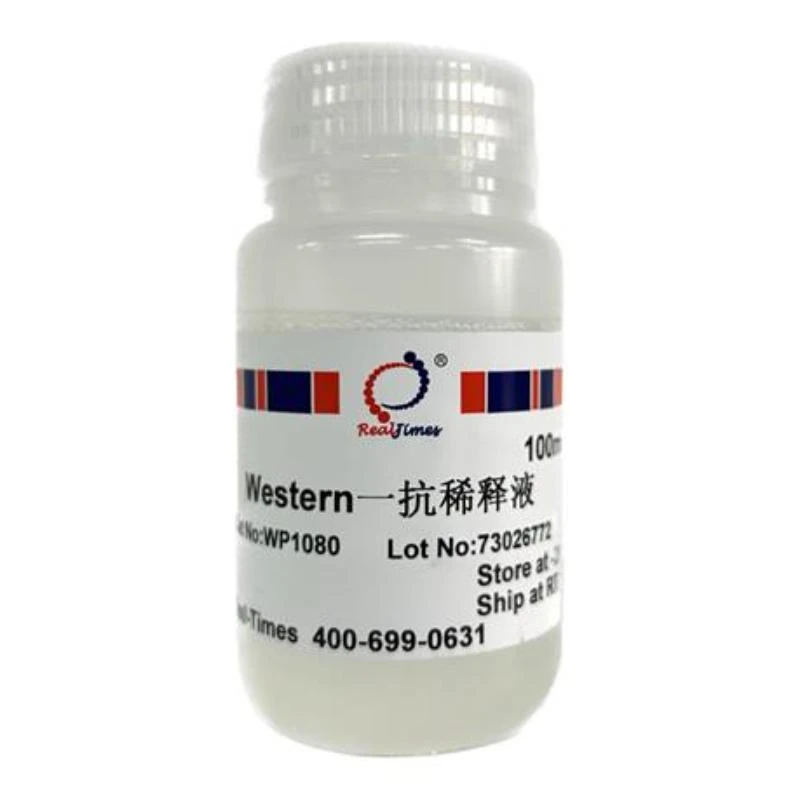 Western一抗稀释液