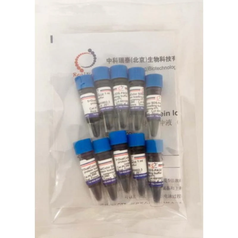 5×双色蛋白上样缓冲液 (变性，还原）