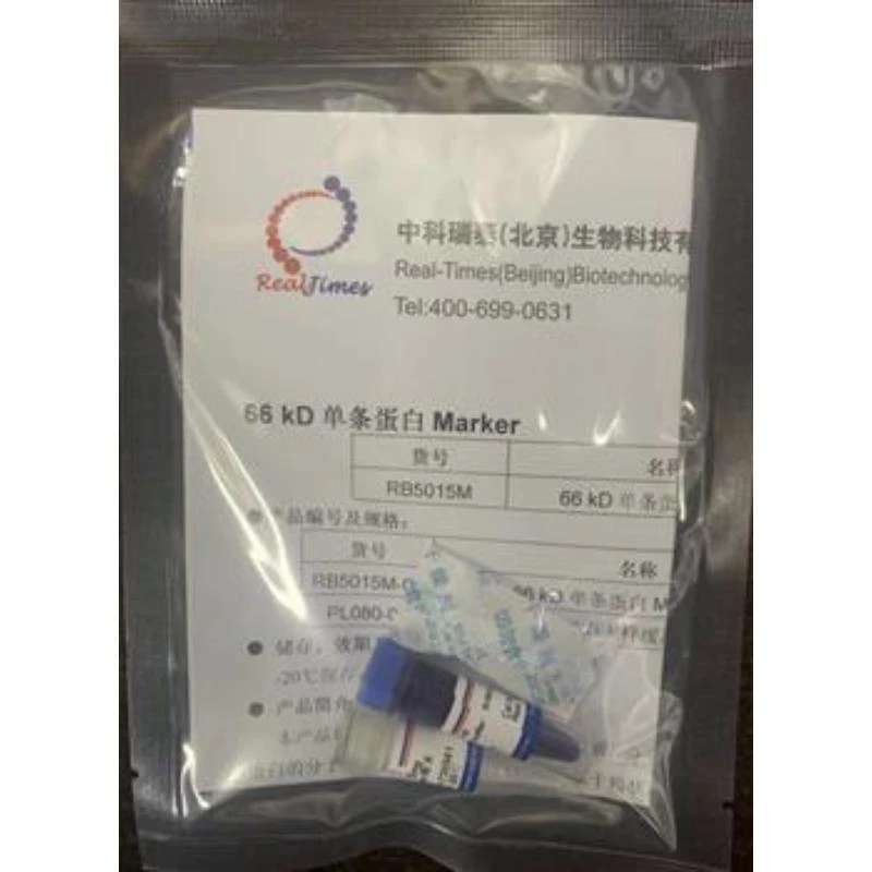 66 kD单条蛋白Marker