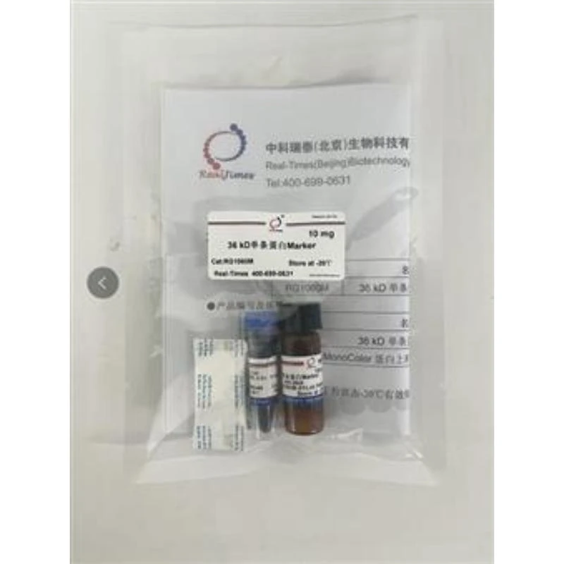 36 kD单条蛋白Marker