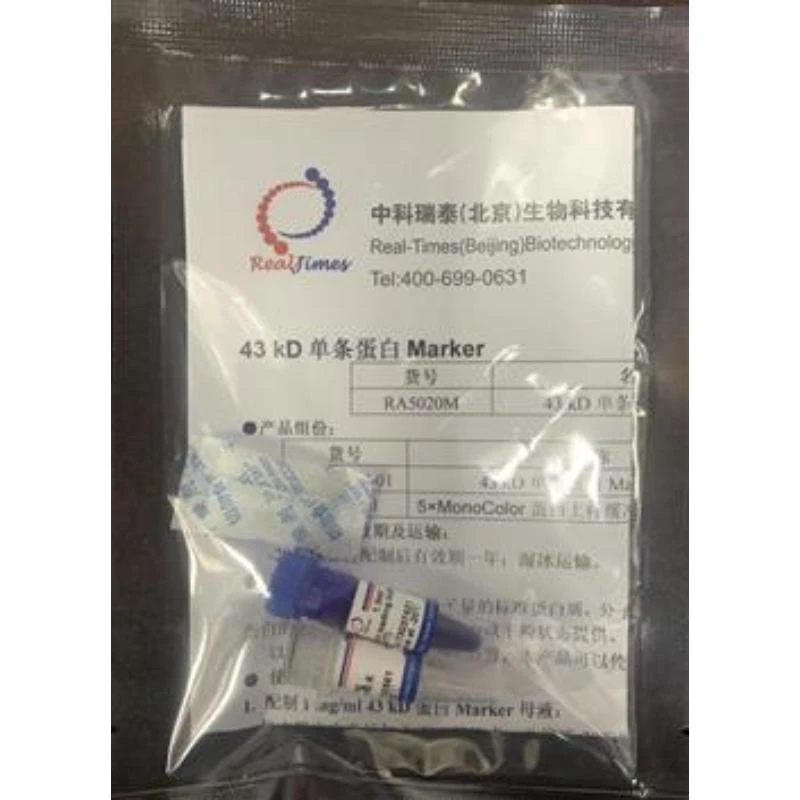 43 kD单条蛋白Marker