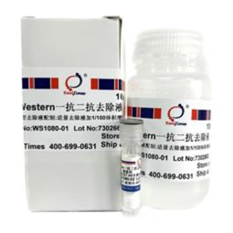 Western一抗二抗去除液（中性，剧烈型）