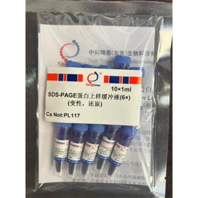 SDS-PAGE蛋白上样缓冲液(6×)