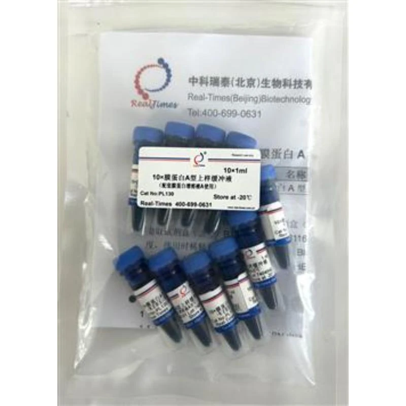10×膜蛋白A型上样缓冲液