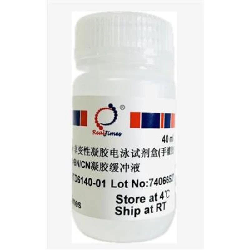 2×BN/CN凝胶缓冲液