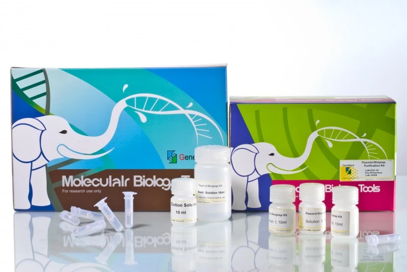 Plasmid Miniprep Purification Kit