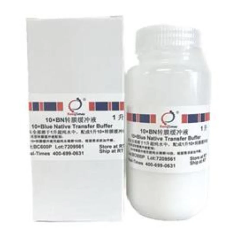 10×BN转膜缓冲液