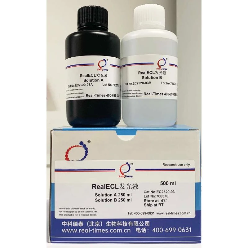 RealECL发光液