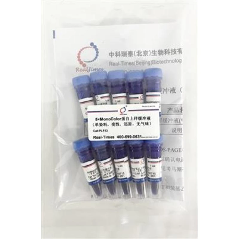 5×MonoColor蛋白上样缓冲液（单染料，变性，还原，无气味）
