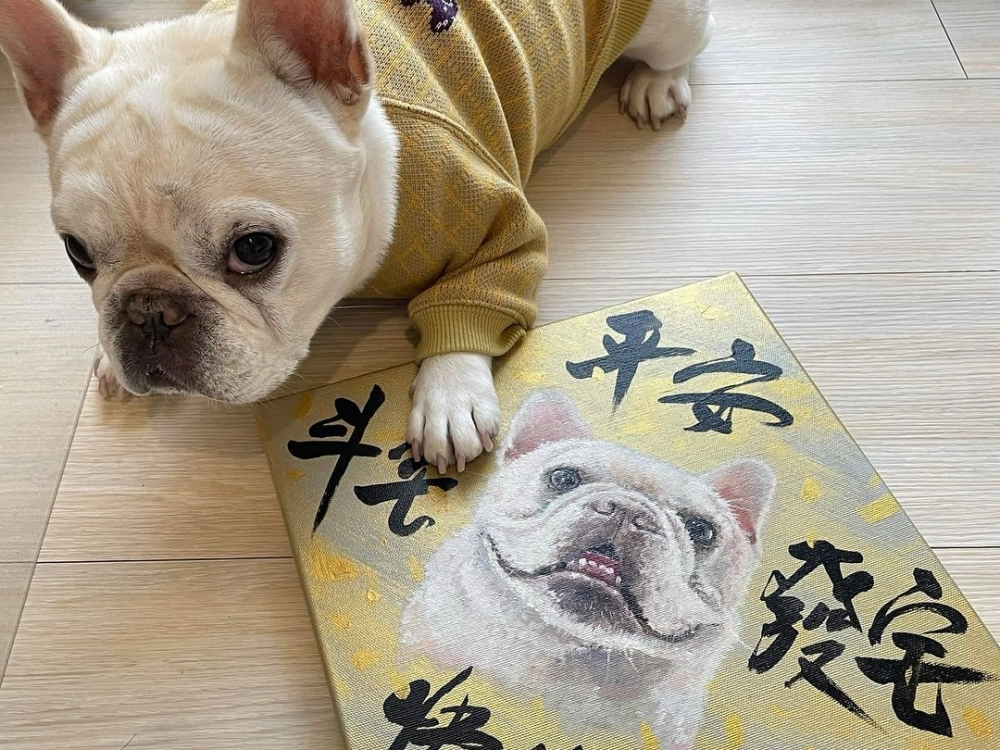 寵物春聯