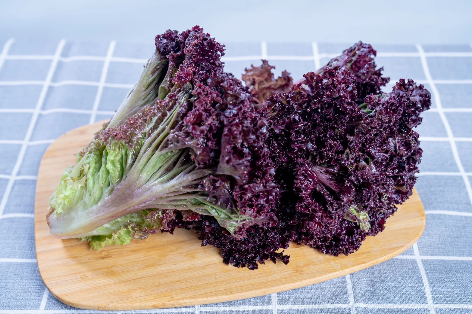 生菜要冷藏嗎？