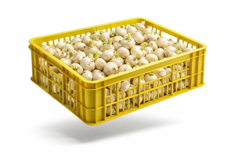 這是蕪菁 這箱洗完、分裝好， 出餐其實很順。