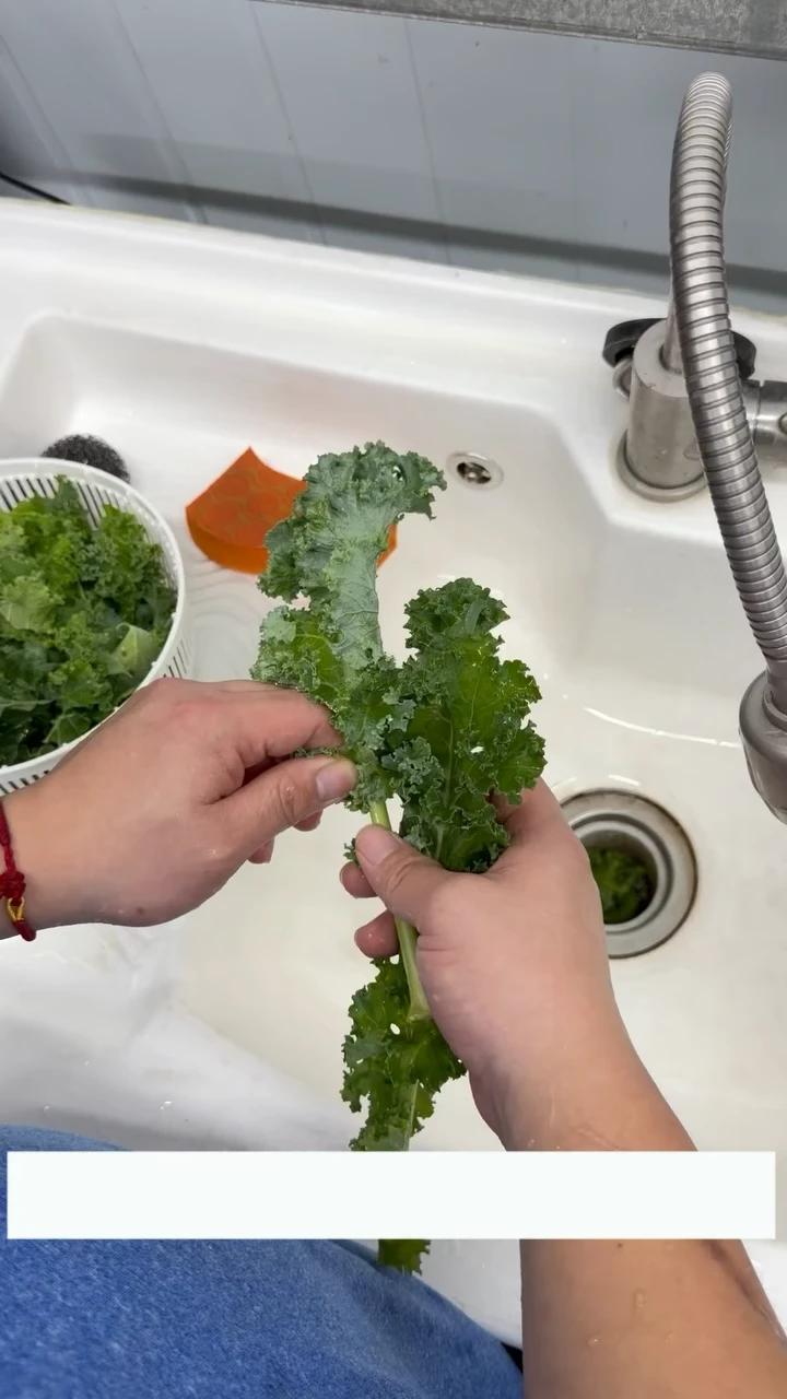 羽衣甘藍搭配肉鬆