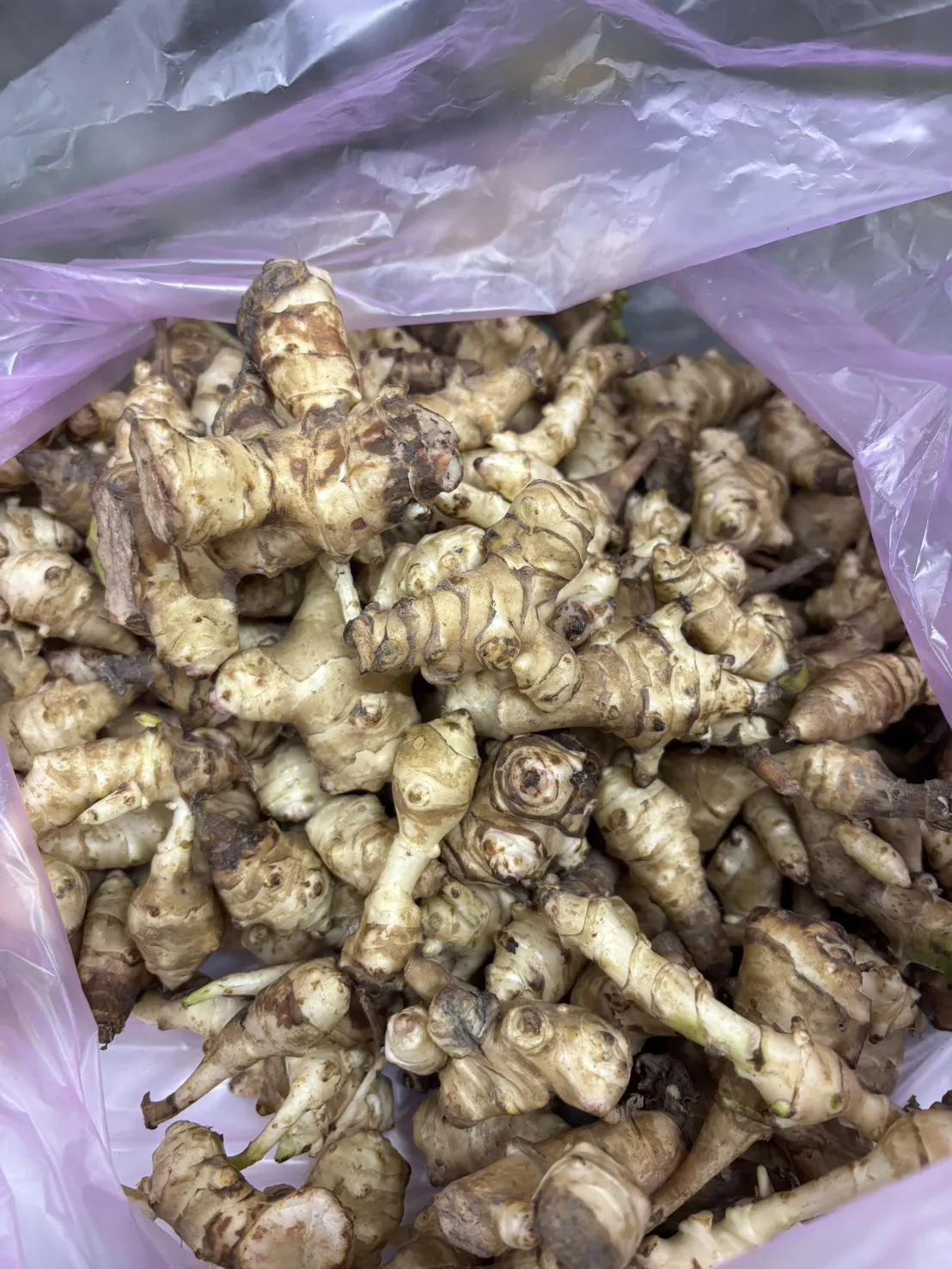 台灣菊芋600g