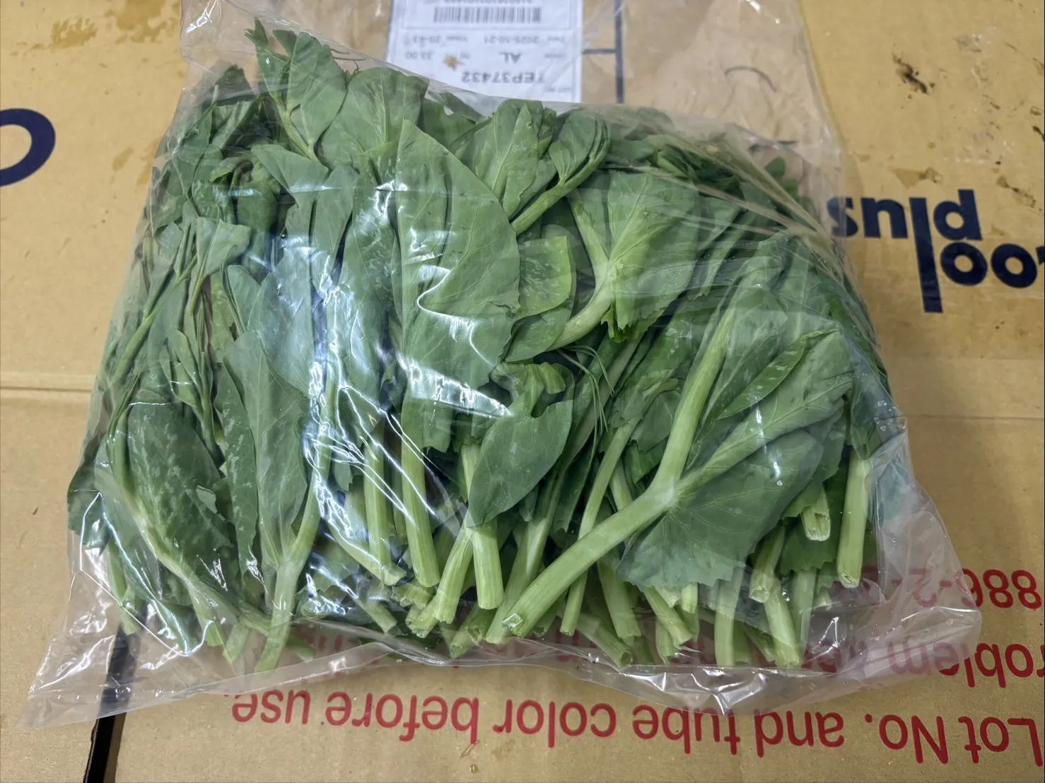 高山豆苗600g