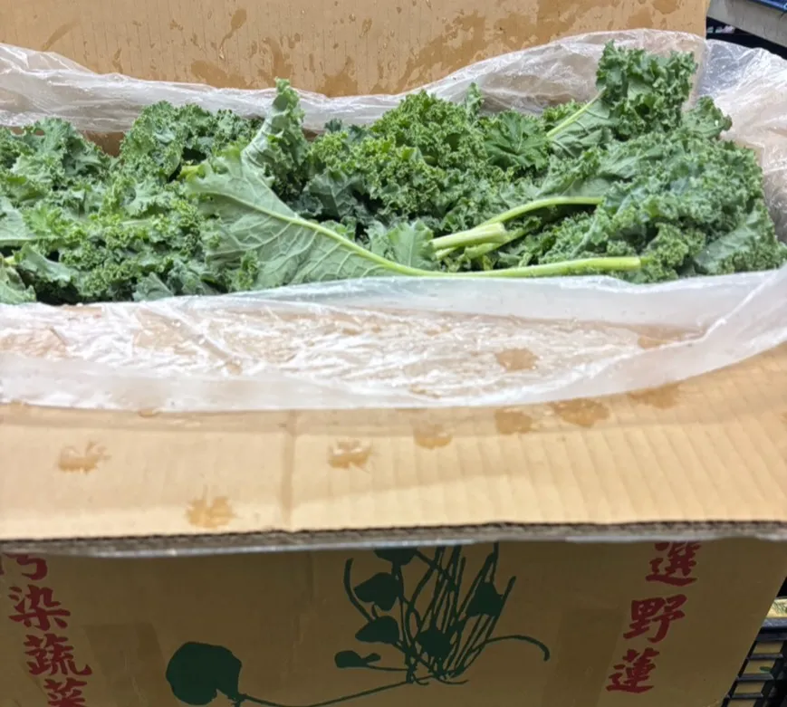 高山清境羽衣甘藍600g