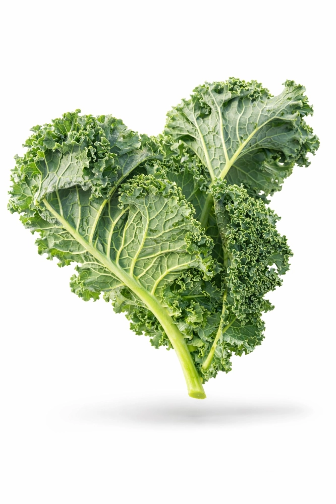 高山清境羽衣甘藍600g