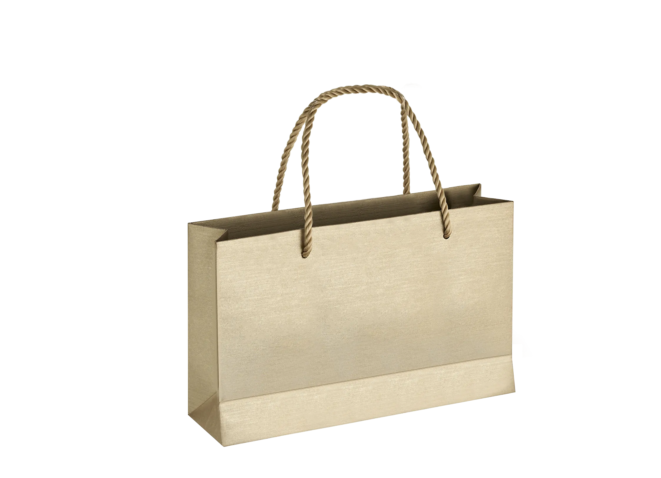 寶格麗提袋 6號袋