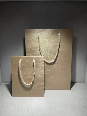 寶格麗3號提袋