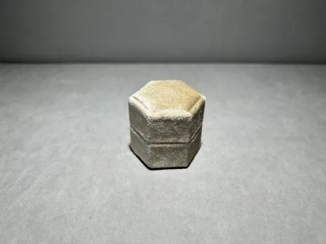 馬卡龍星煥戒指盒 亮駝