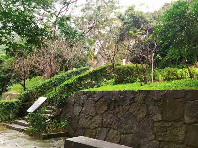 法鼓山植存