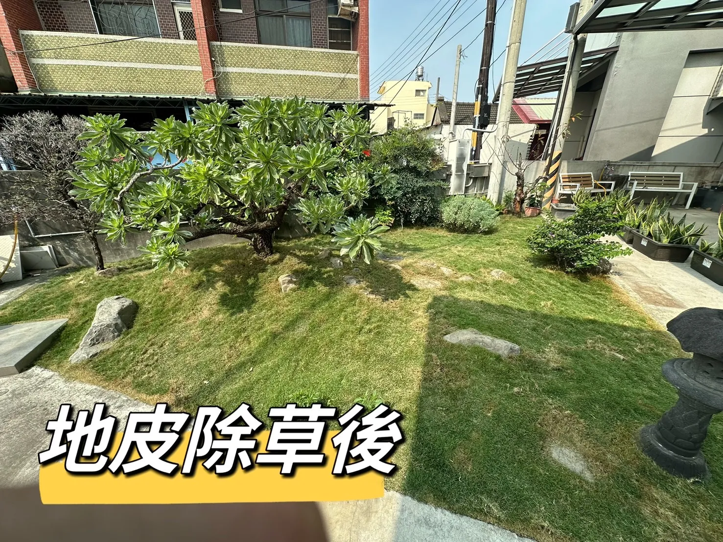 為什麼要除草？為什麼要修剪樹木？