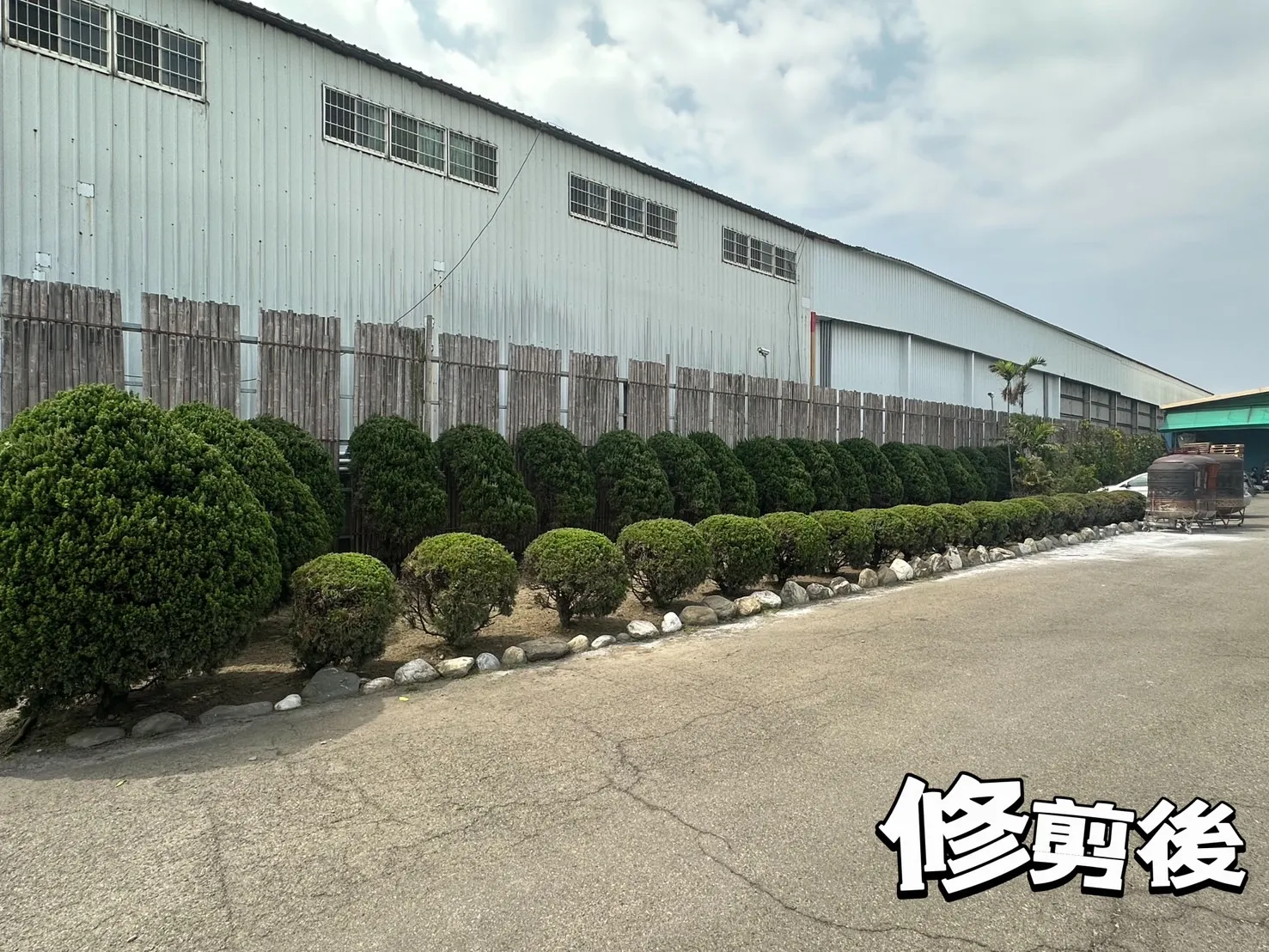 造景樹木修剪的好處？／鹿港園藝修剪