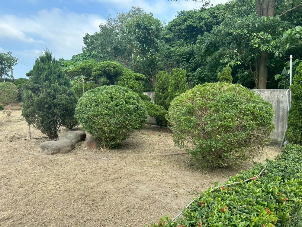 園藝修剪