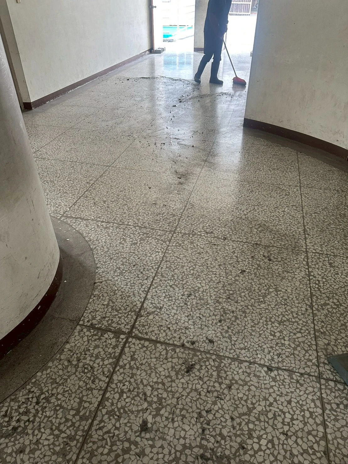 學校蜘蛛網清理