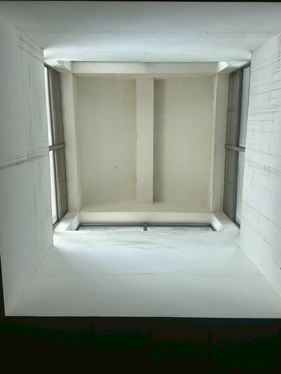 學校蜘蛛網清理