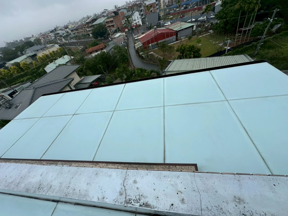 採光罩強化玻璃清潔水垢及青苔