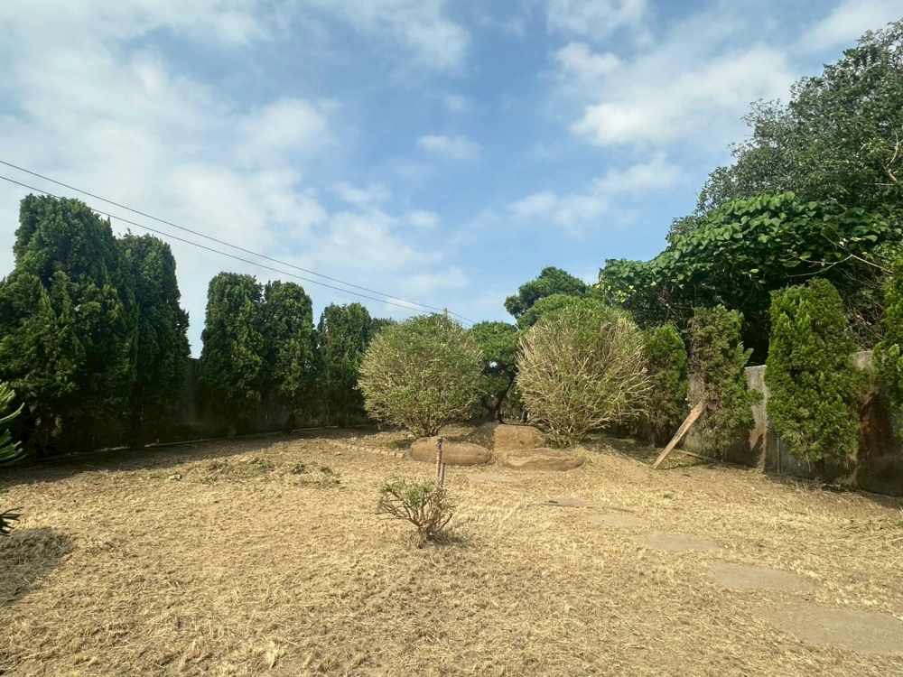 園藝修剪
