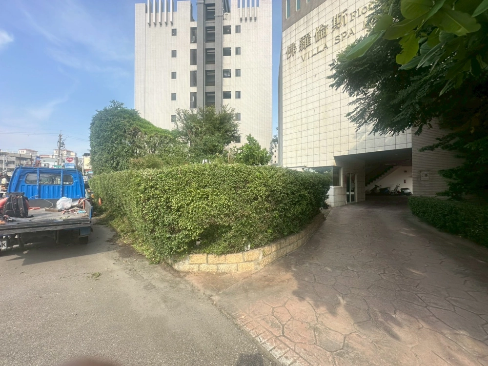 汽車旅館樹木修剪